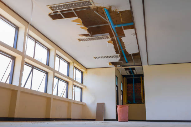 Best 24-hour water damage restoration  in Frostburg, MD