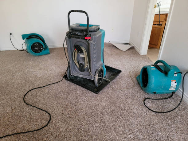 Best 24/7 water damage repair  in Frostburg, MD