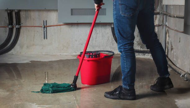 Best Carpet water damage restoration  in Frostburg, MD