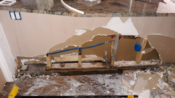 Best Water damage restoration company  in Frostburg, MD