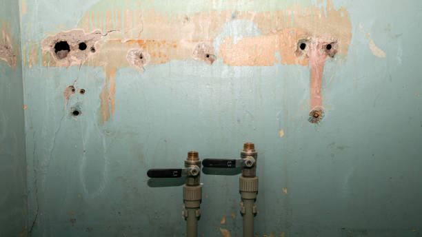 Best Professional water damage repair  in Frostburg, MD