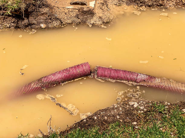 Best Emergency water damage restoration  in Frostburg, MD