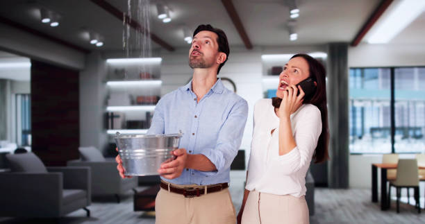 Best Commercial water damage restoration  in Frostburg, MD