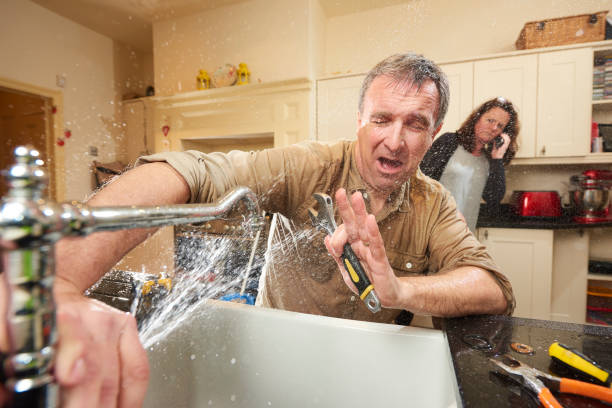 Best Water damage restoration services  in Frostburg, MD